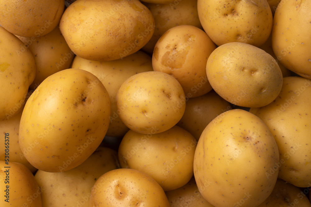 A group of fresh tasty potato as background. A group of fresh tasty potato as background.