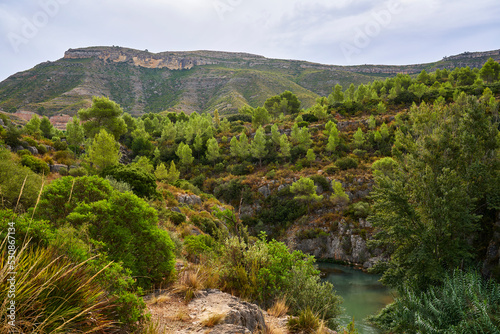 Bosque mediterraneo en el cañón del rio Turia, Valencia (España) photo