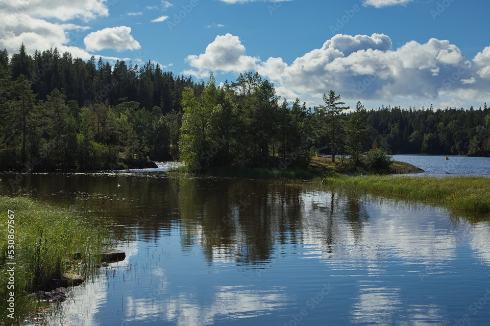 Forest lake on the island of Valaam.