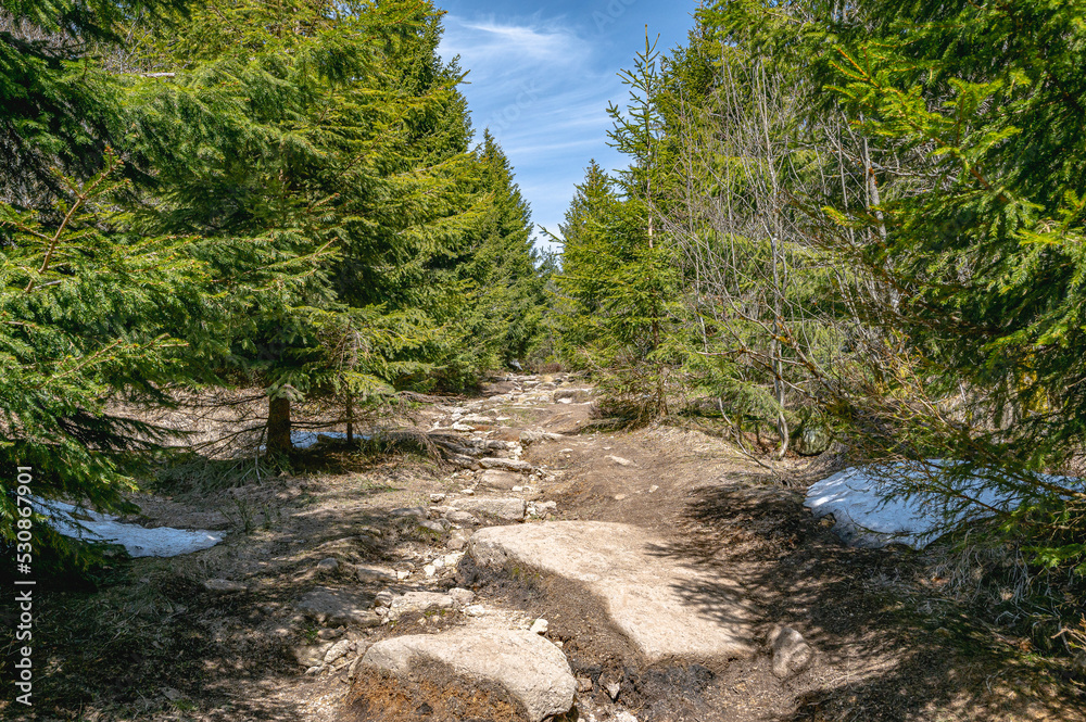 hiking trail in the fichtel mountains hiking trail in the fichtel mountains