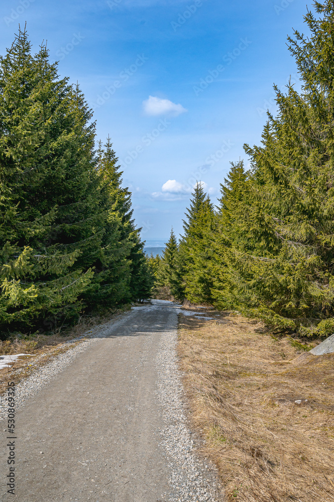 road in the fichtel mountains