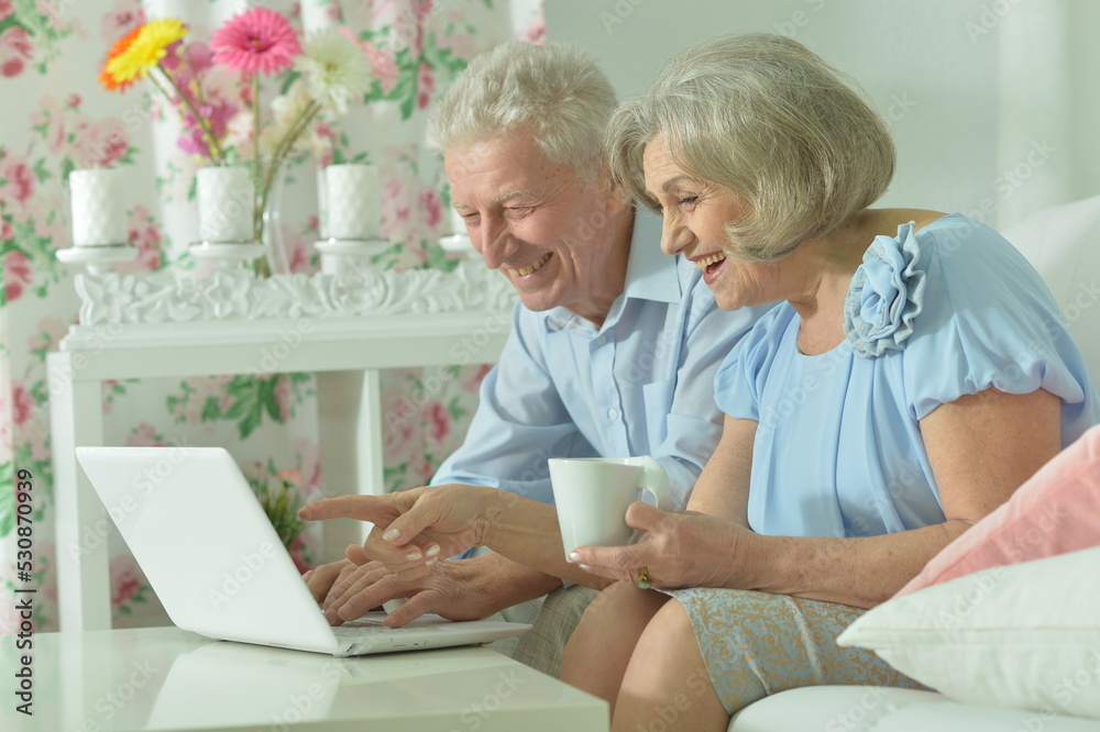 Obraz premium Modern senior couple smiling while browsing on laptop.