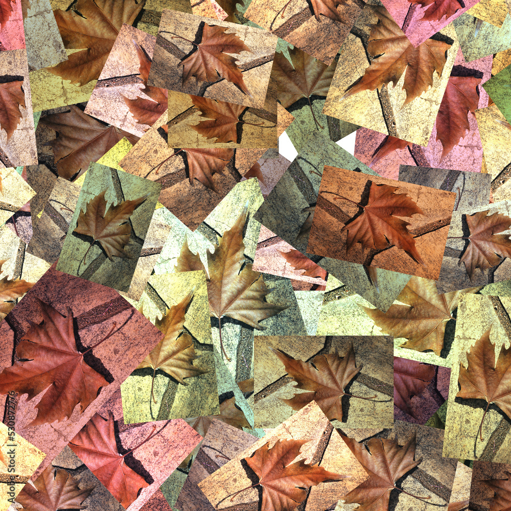 Mosaico da famosa folha de plátano, que tem característica peculiar no Outono