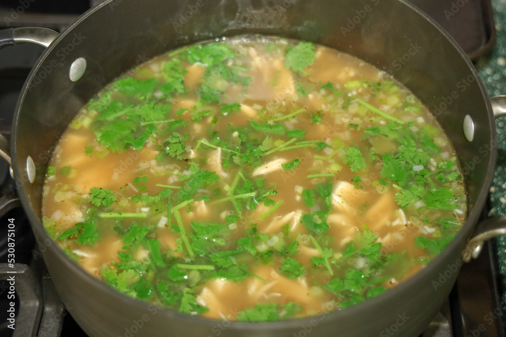 View of a pot with chicken avocado soup ready to be served and topped with avocado View of a pot with chicken avocado soup ready to be served and topped with avocado