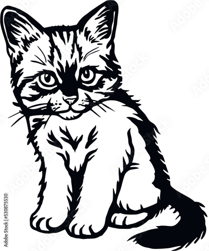 Domestic Cat, Peeking kitten - Cheerful kitty isolated on white - vector stock