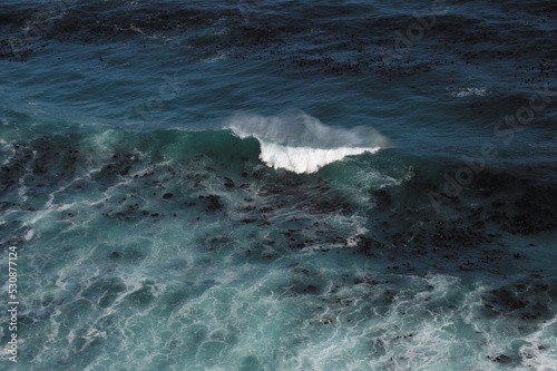 Cape of Good Hope © MS_UNDASTOOD