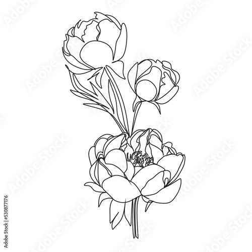 Peony flowers one line . Vector line illustration. Botanical print. Rose flover one line..Cosmetics nature symbol. Modern continuous line art. Fashionable print. Beaty salon logo.