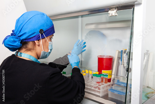 Young female scientist working in a safety laminar air flow cabinet at laboratory