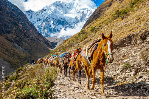 Salcantay Inca Trail with horses - Peru
