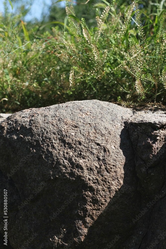stones in the grass stones in the grass