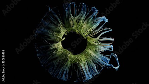 Abstract 3d render of blue and green iris photo