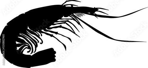 Sea shrimp is delicious and loved by many people.  Silhouette black