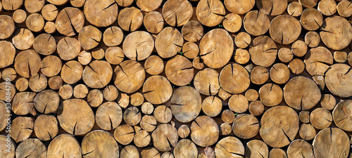 Fotografie, Obraz Texture of wooden logs for photo and design.