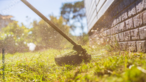 Man mowing tall grass with electric or petrol lawn trimmer in backyard. Gardening care tools and equipment. Process of lawn trimming with hand mower