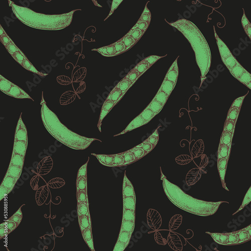 Green pea seamless pattern. Hand drawn background. Vector illustration. Hand drawing sketch illustration. Green pea vegetable hand drawn backdrop.