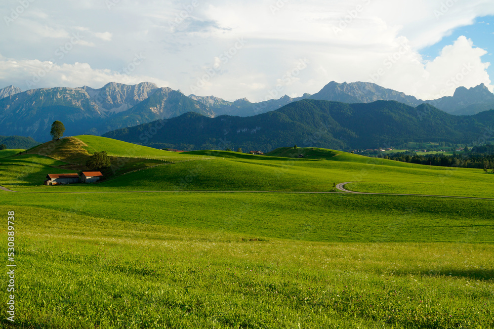 scenic, sunlit, lush green alpine meadows of the Allgaeu region in Bavaria with the Alps in the background