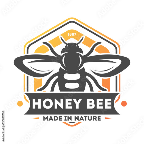 Honey bee vintage label isolated vector illustration. Traditional beekeeping icon, organic honey product logo, natural sweet food badge.