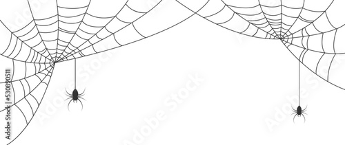 Fotografia Scary spider web background