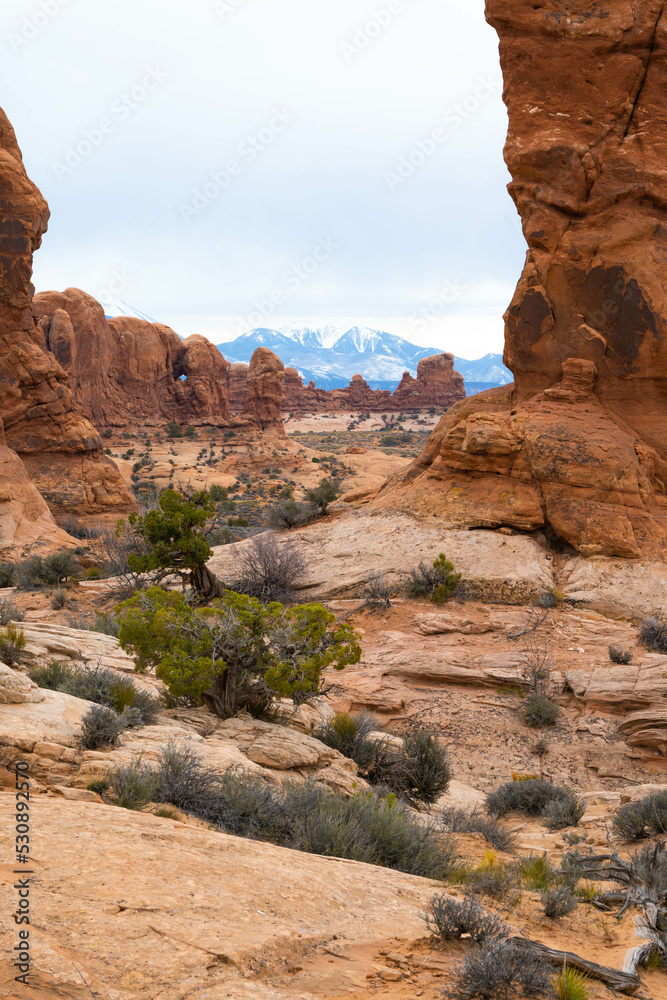 red rock canyon, Arches National Park