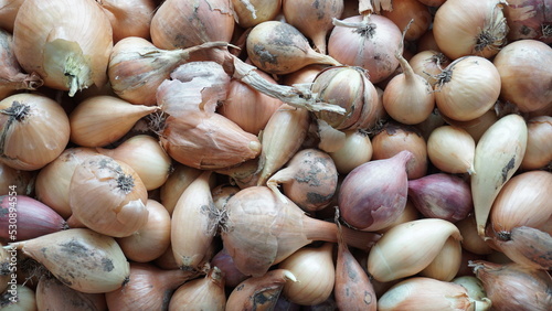 A large number of onions in a chaotic arrangement. Onions are yellow, large and small in the outer husk.