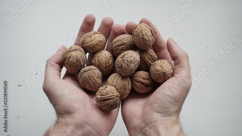 A large number of walnuts in the hands of a man
