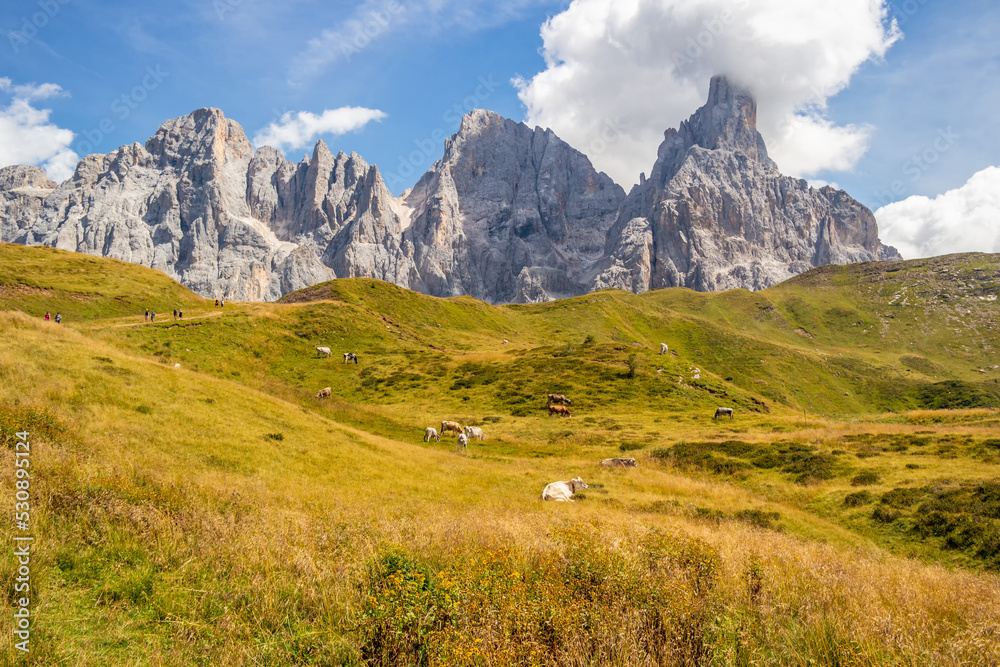 Mountain panorama in San Martino di Castrozza, Trentino Alto Adige, Italy