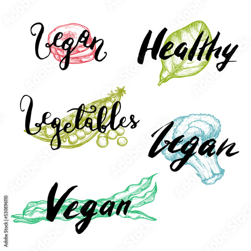 Healthy vegetable hand drawn lettering set. Vegetarian product vector illustration, fresh and natural vegan food advertising elements. Green beans, broccoli, peas, spinach pencil sketches.