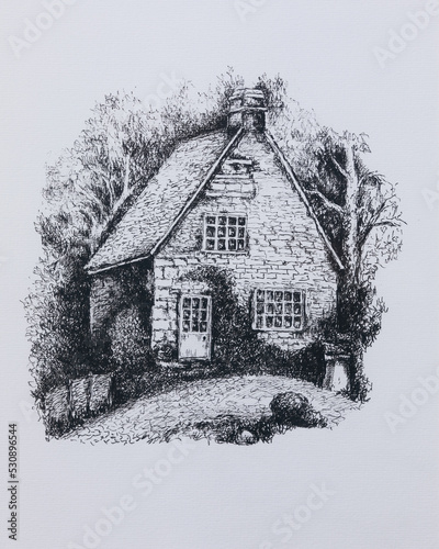 Old beautiful vintage cottage in the woods. A detailed sketch of a house with a tree made with liner