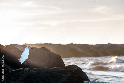 Sunshine basking over the Florida Bird during sunrise