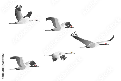 Cartoon Color Characters Flight of Cranes Set Asian Flying Bird Concept Flat Design Style. Vector illustration