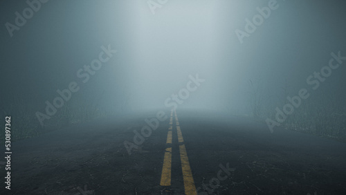 Misty foggy road in forest