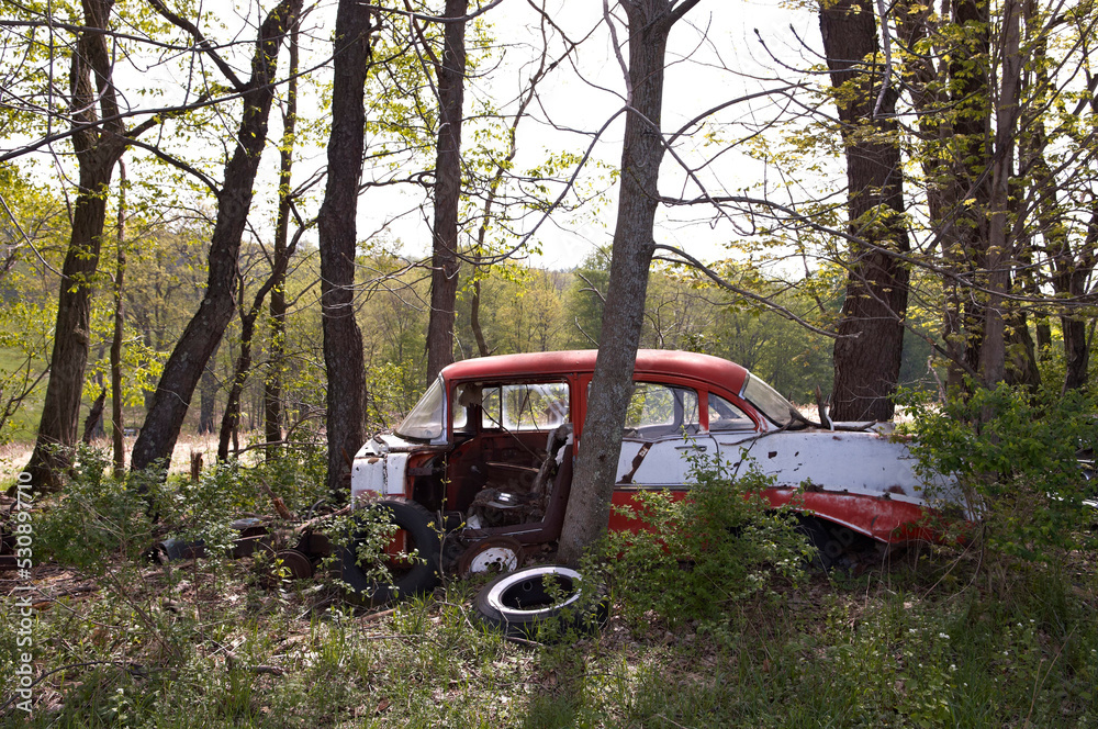 Old car lost in farm land