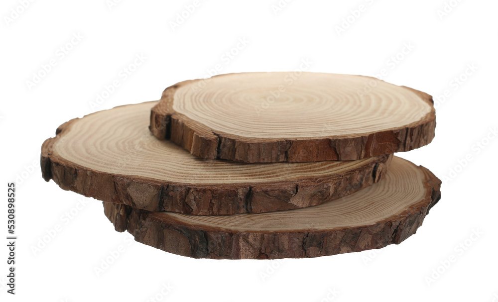 Colum Tree Struss Cross section of tree trunks, stumps isolated on white Stock Photo ...