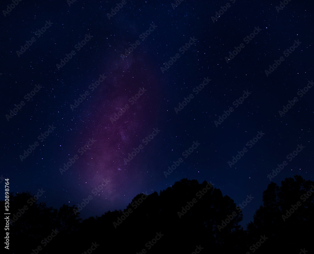 Obraz premium Starry sky silhouetting a forest near Raeford NC