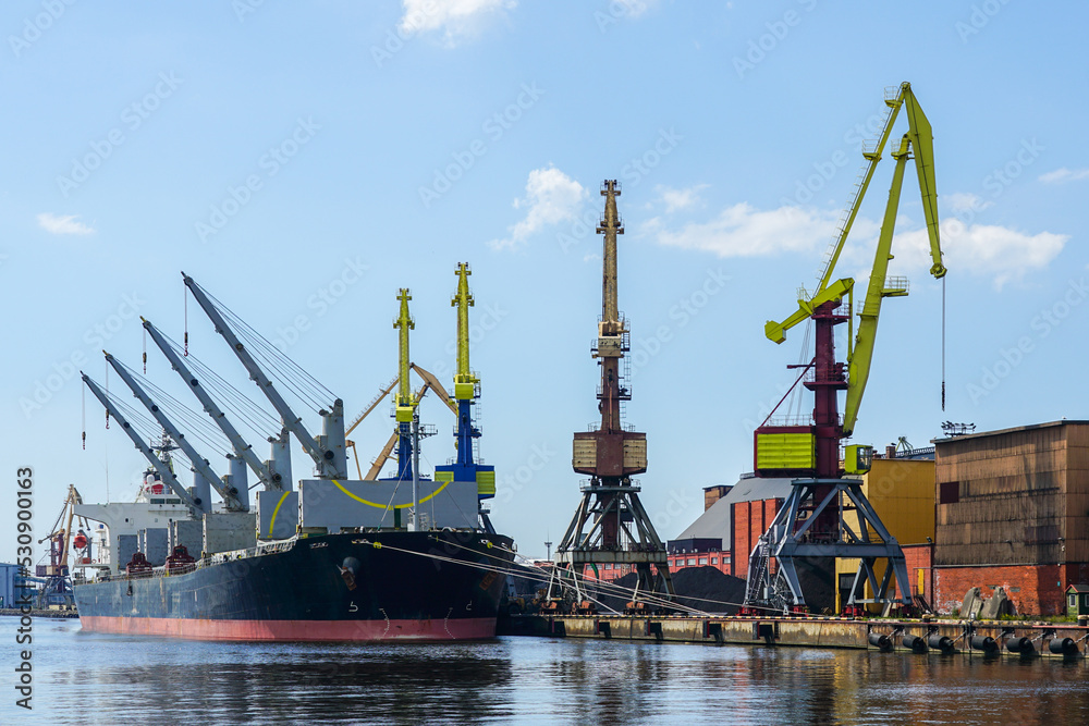 Large bulk carrier with open holds in harbor quay, shore cranes and coal piles