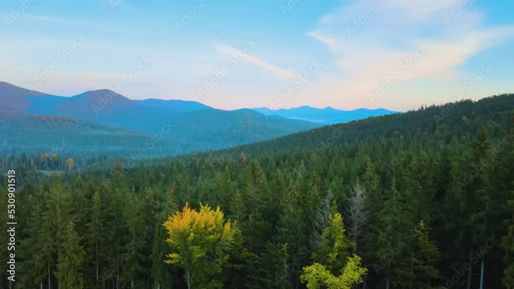 Aerial view of amazing scenery with dark mountain hills covered with forest pine trees at autumn sunrise. Beautiful wild woodland at dawn Aerial view of amazing scenery with dark mountain hills covered with forest pine trees at autumn sunrise. Beautiful wild woodland at dawn
