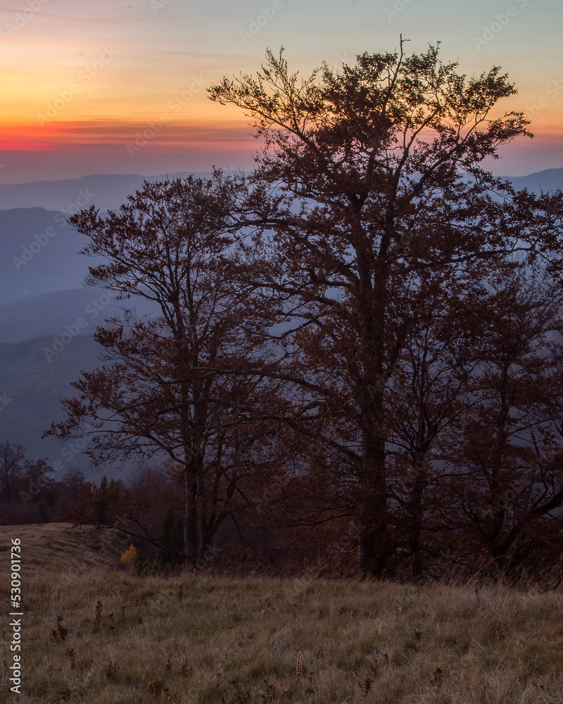 Autumn landscape in the Carpathian mountains with winged beeches and dusk on the horizon. Magical twilight in the mountains in the middle of the autumn forest.