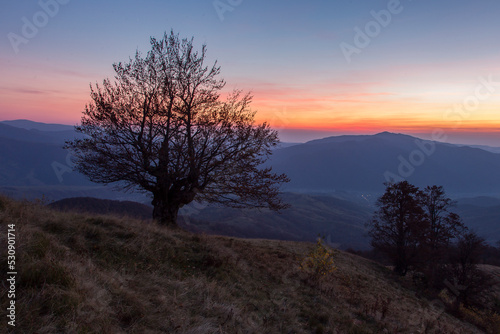 Autumn landscape in the Carpathian mountains with winged beeches and dusk on the horizon. Magical twilight in the mountains in the middle of the autumn forest. © ihorhvozdetskiy