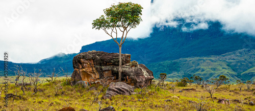 Expedition to Mount Roraima, approaching the mountain, Venezuela