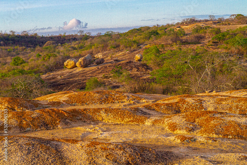 landscapes of caatinga and brazilian wild - paraíba, brazil