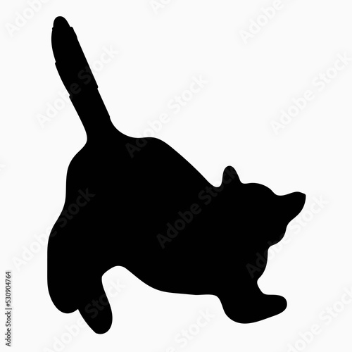 Silhouette of a cat, highlighted on a white background.