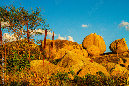Lajedo do Pai Mateus - landscape of caatinga and brazilian wild - paraíba, brazil