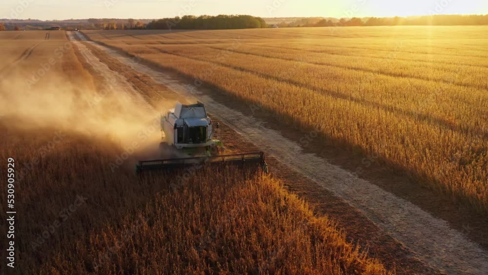 Harvesting combine field food agriculture wheat sunset food working