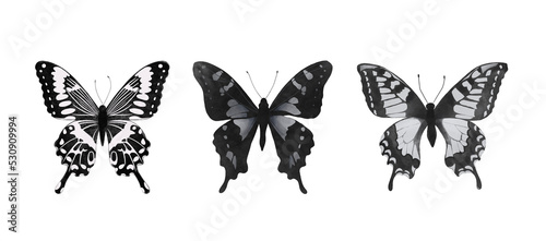 Set of realistic PNG butterflies. Collection of vintage elegant illustrations of butterflies. Design element for your project. © Iryna