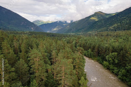 Aerial shot of rapid river in pine forest in mountain valley