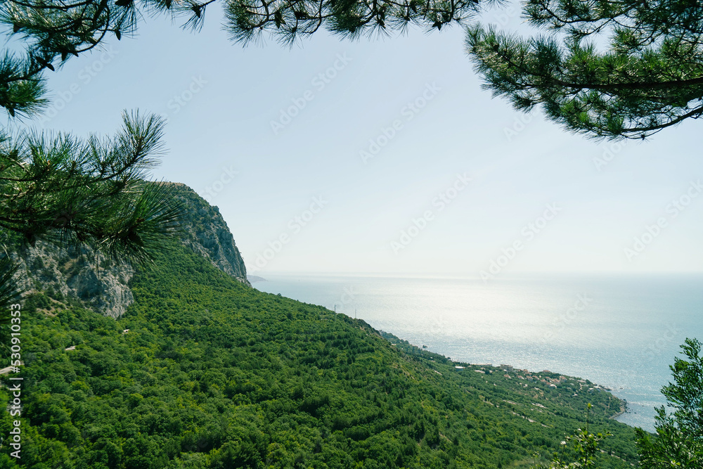 Obraz premium View of the panorama of the beach and the black sea in the background down. Ai-Petri, Crimea. Pine branch overlooking the cliff in a beautiful style. View from above.