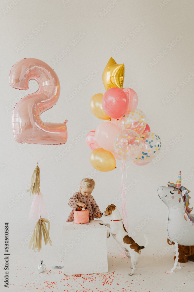 Φωτογραφία Little girl on the background of colorful balloons with a cake and a dog on a white background in the studio