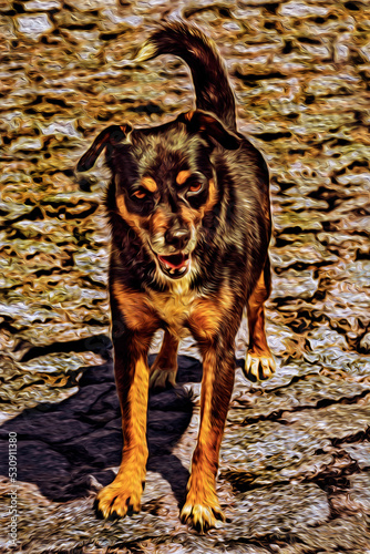 Sympathetic mutt dog standing on cobblestone alley at Linhares da Beira. A medieval hamlet in eastern Portugal. Oil paint filter. photo