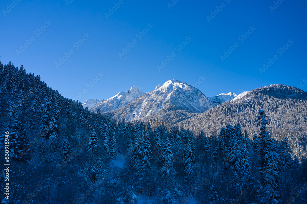 Winter mountain peak and snowy fir trees