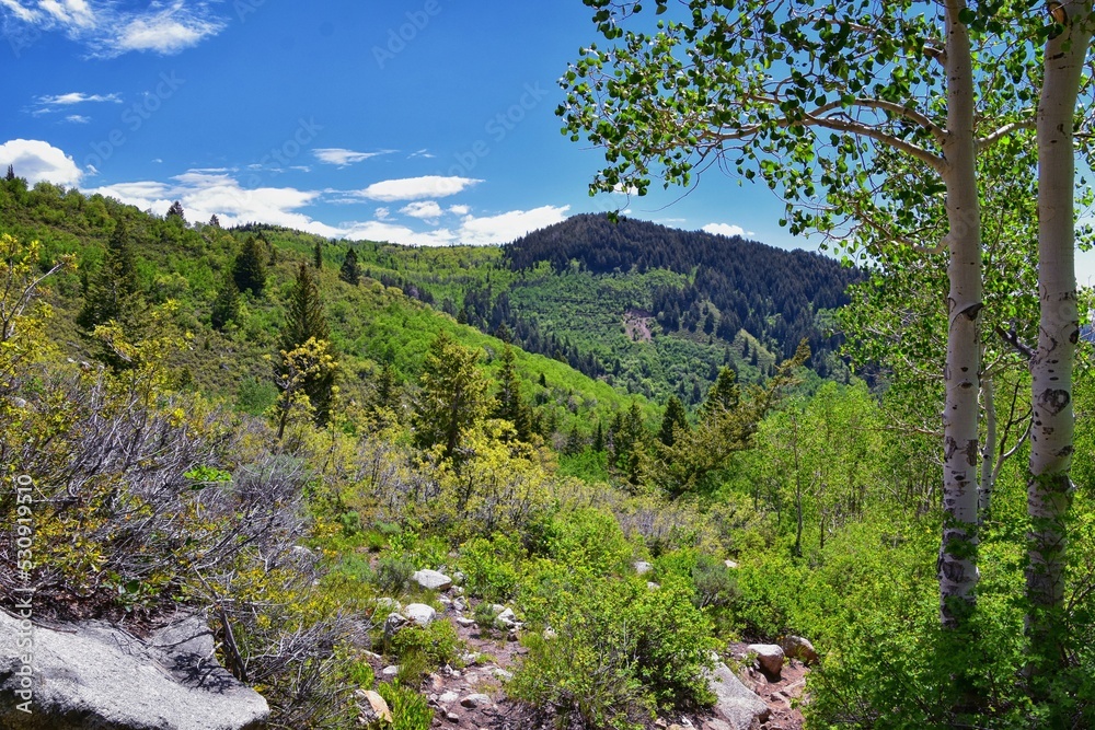 Silver Lake Flat Reservoir views of mountains from hiking trail above Tibble Fork up American Fork Canyon by Box Elder Peak. Wasatch Mountains, Utah. USA.